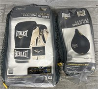 Everlast Boxing Gloves & Speed Bag