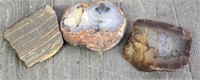 (3) Agate Specimens