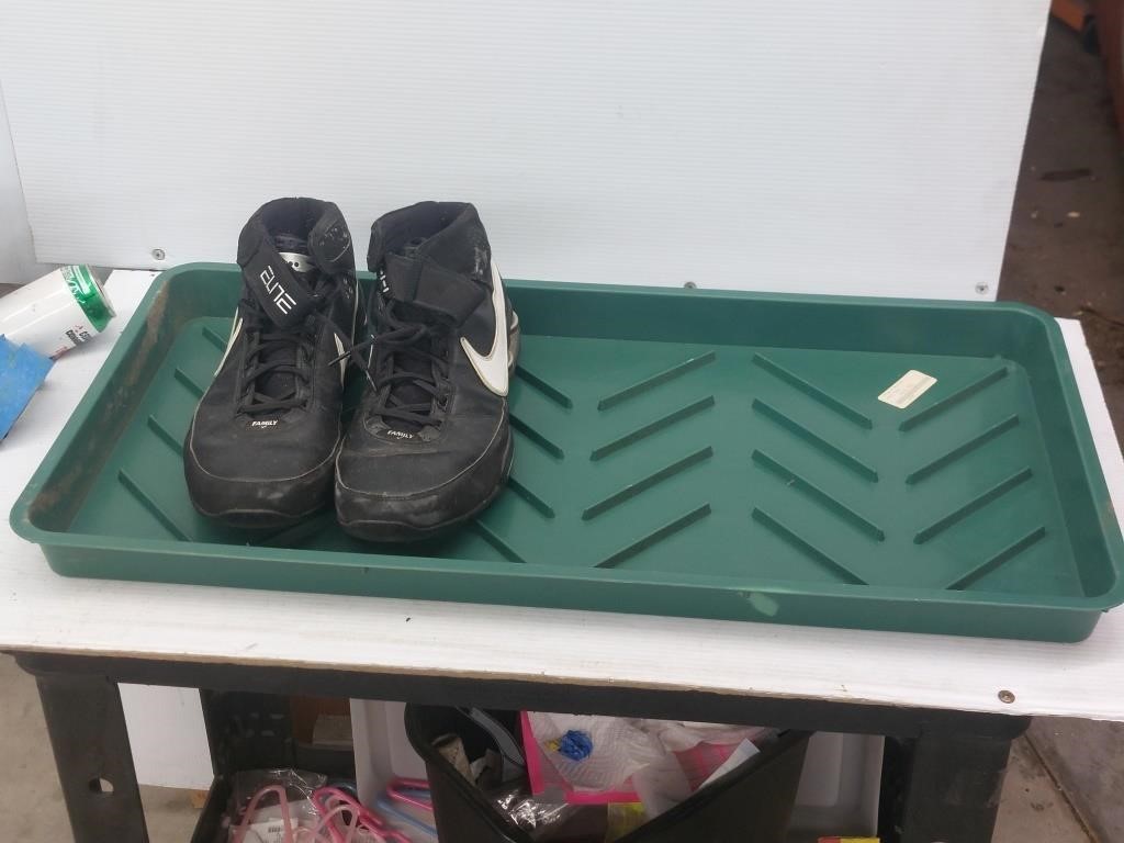 Boot or shoe tray