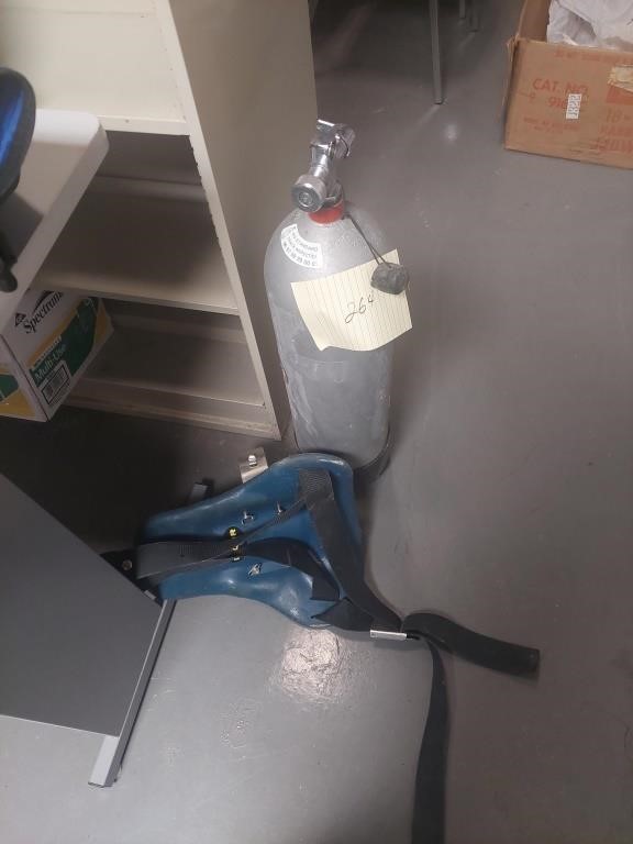 Oxygen tank with harness