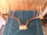 Antlers