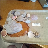 Geodes & Seashells