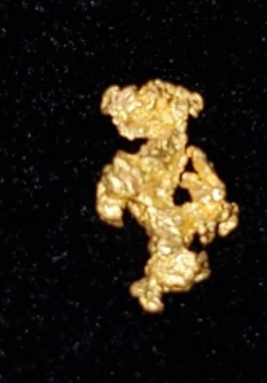 Gold Nugget #1