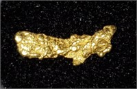 Gold Nugget #3