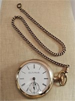 c. 1895 Elgin Pocket Watch w/Chain