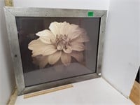 Picture Print Framed Flower W/Dew Drops