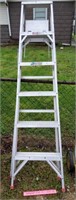 6 ft Ladder