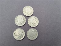 1920 Buffalo Nickels (lot of 5)