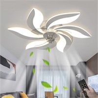 CIIAUM 26.7" Ceiling Fan with Lights and Remote