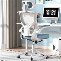 $169  Office Chair  High Back - Carolina Blue