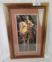 Home Interiors Framed Deer