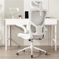 Ergonomic Mesh Desk Chair  High Back (White)