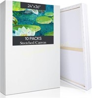 Outus 10-Pack Canvas for Painting  24x36 Inch