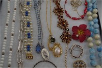 17 COSTUME JEWELRY BROOCHES CLIPS NECKLACES