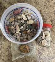 rock/shell collection