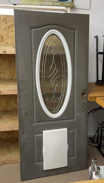 Metal door with pet door
