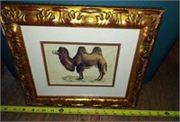 CAMEL ART