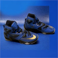 Men’s Nike Lebron size 7
