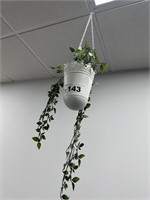 6 Hanging Imitation Plant Holders, Plants & Pot
