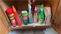Cabinet contents comment with bleach, raid ant