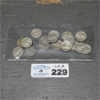 (18) Buffalo Nickels