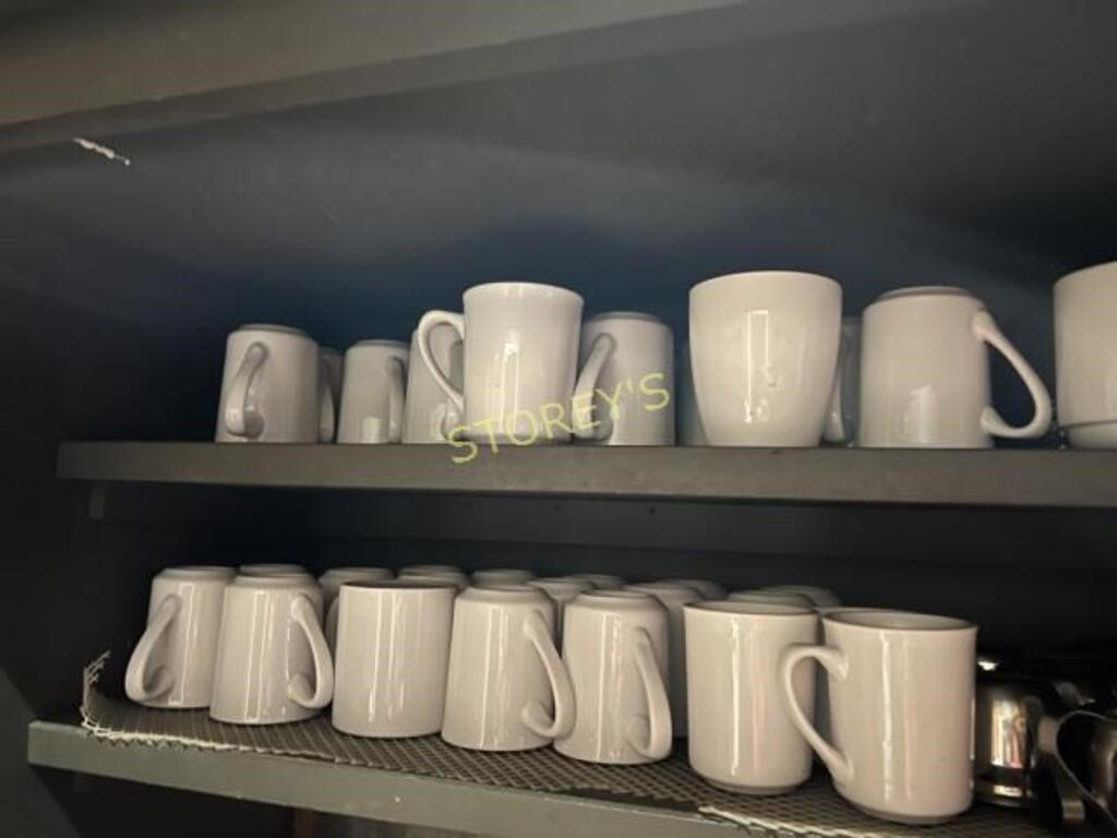 ~34 Asst Coffee Cups