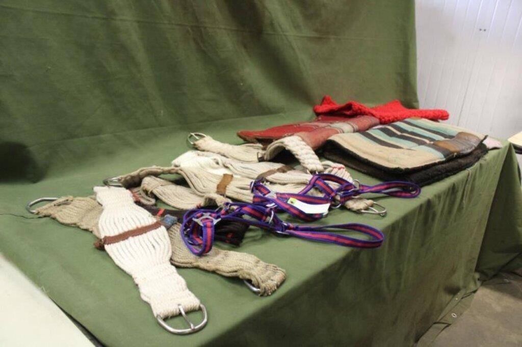 (4) Saddle Pads,(2) Halters & Cinches