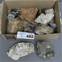 Assorted Rocks & Fossils