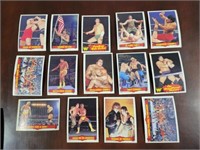 1980'S WWF WRESTLING TRADING CARDS