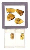 (59) Cretaceous Period Insects In Amber Specimens