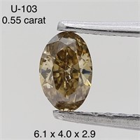 $750  Rare Fancy Natural Color Diamond(0.55ct)