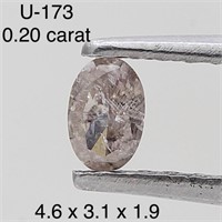 $350  Rare Fancy Natural Color Diamond(0.2ct)