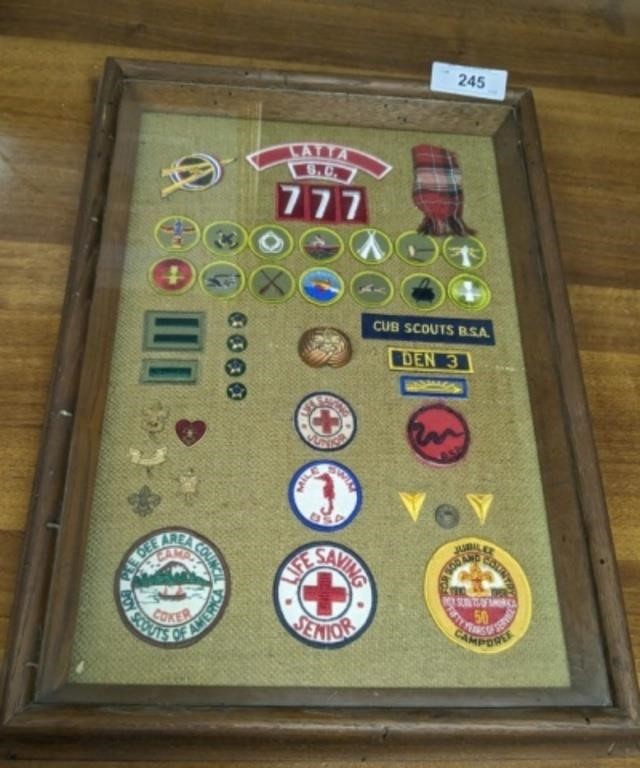 FRAMED CUB SCOUTS/ BOYSCOUTS BADGES