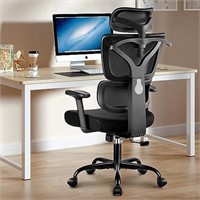Winrise Office Chair Ergonomic Desk Chair, High