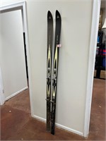 Fischer VP skis B