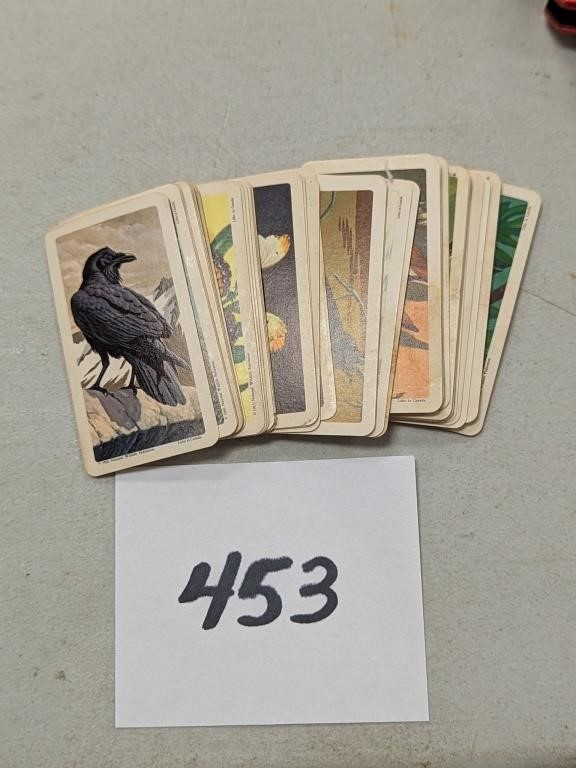 Vintage Brooke Bond Tea Co. Bird Cards