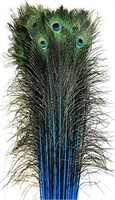 American Feathers Eyed Peacock Tail Feathers