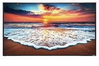 Vizio 50 Inch TV