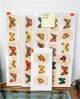 (3) Cards of Butterfly Cigarette Silks