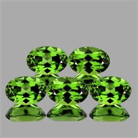 Natural Rare Chrome Green Apatite 5 Pcs (Flawless-