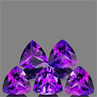 Natural Purple Amethyst 5 Pcs {Flawless-VVS}