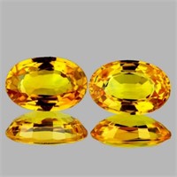 Natural Golden Yellow Sapphire Pair 6x4 MM - VVS