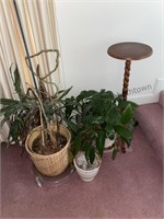 Assortment of plant containers with dollies and a