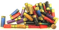 Assorted Shotgun Shells