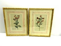 Water Color Flowers Framed 10.5" x 13"