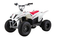 $700  Razor Dirt Quad 500 - 36V Electric 4-Wheeler