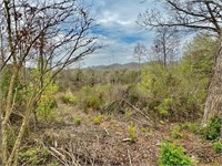 3.15 Acres OVERLOOK LN Clinton TN