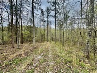 488 ASHE CABIN HOLLOW ROAD - HARRIMAN, TN  37748