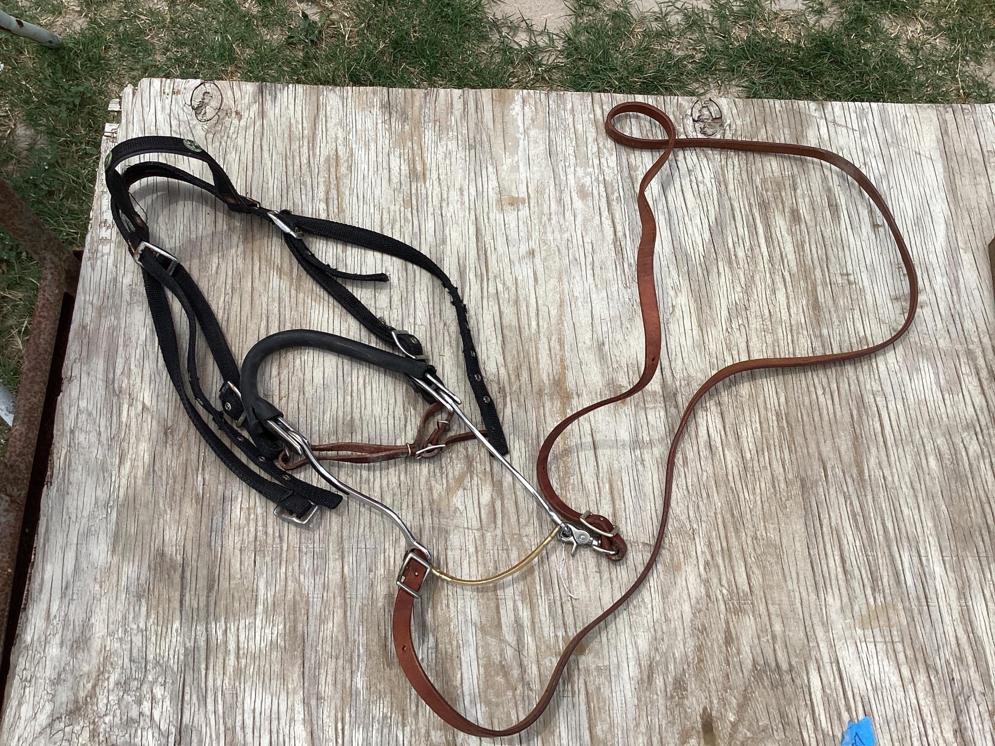 HEADSTALL W/ HACKMORE BIT & LEATHER REINS