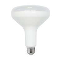 BR40 Dimmable LED Bulb Soft White 2-Pack